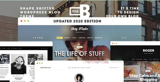 TheBlogger 2.1.2汉化中文版|自定义高级博客CMS WordPress主题模板-搬主题