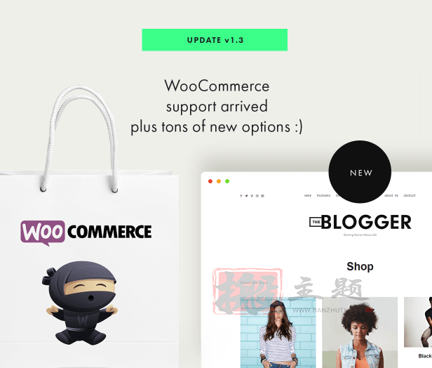 图片[4]-TheBlogger 2.1.2汉化中文版|自定义高级博客CMS WordPress主题模板-搬主题