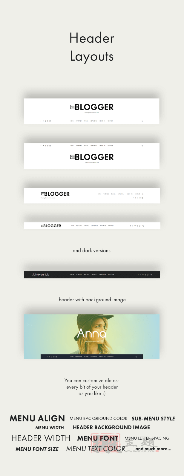 图片[6]-TheBlogger 2.1.2汉化中文版|自定义高级博客CMS WordPress主题模板-搬主题