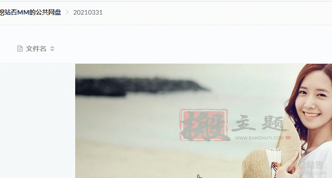 图片[25]-ZFile自建免费公共网盘服务-支持阿里云OSS,OneDrive,FTP,S3协议等云存储-搬主题