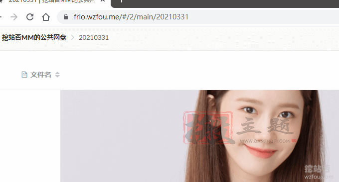图片[31]-ZFile自建免费公共网盘服务-支持阿里云OSS,OneDrive,FTP,S3协议等云存储-搬主题