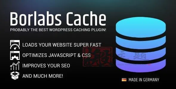 Borlabs Cache 1.6.3完美汉化中文版|WordPress轻量多功能缓存加速插件-搬主题