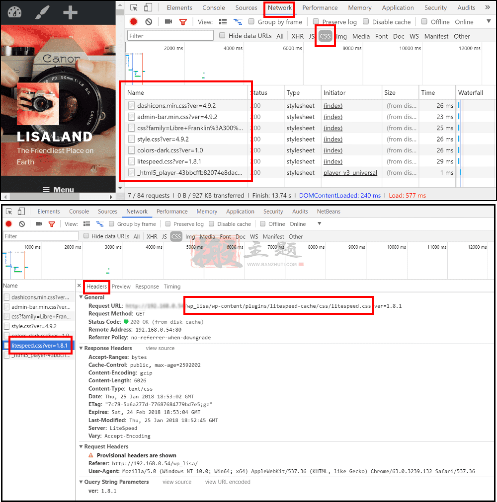 图片[3]-WordPress使用LiteSpeed Cache插件优化后CSS/JS显示不正常最全解决办法-搬主题