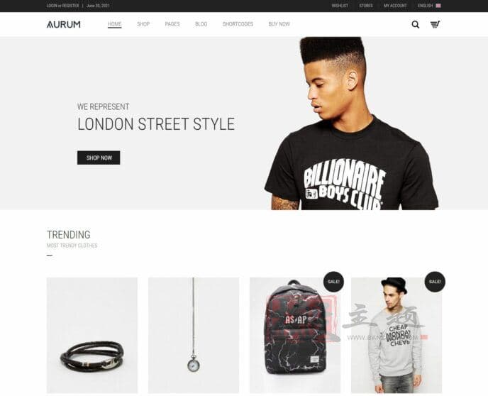 图片[15]-市场上 16 个最佳WordPress WooCommerce电子商务主题-搬主题