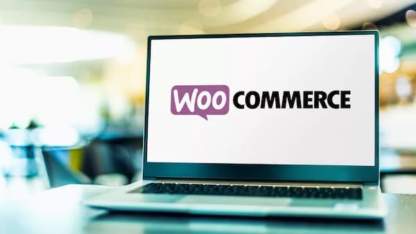WordPress插件WooCommerce在欧洲激活了其支付服务-搬主题