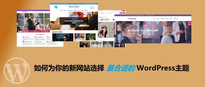 如何为你的新网站选择最合适的WordPress主题-搬主题