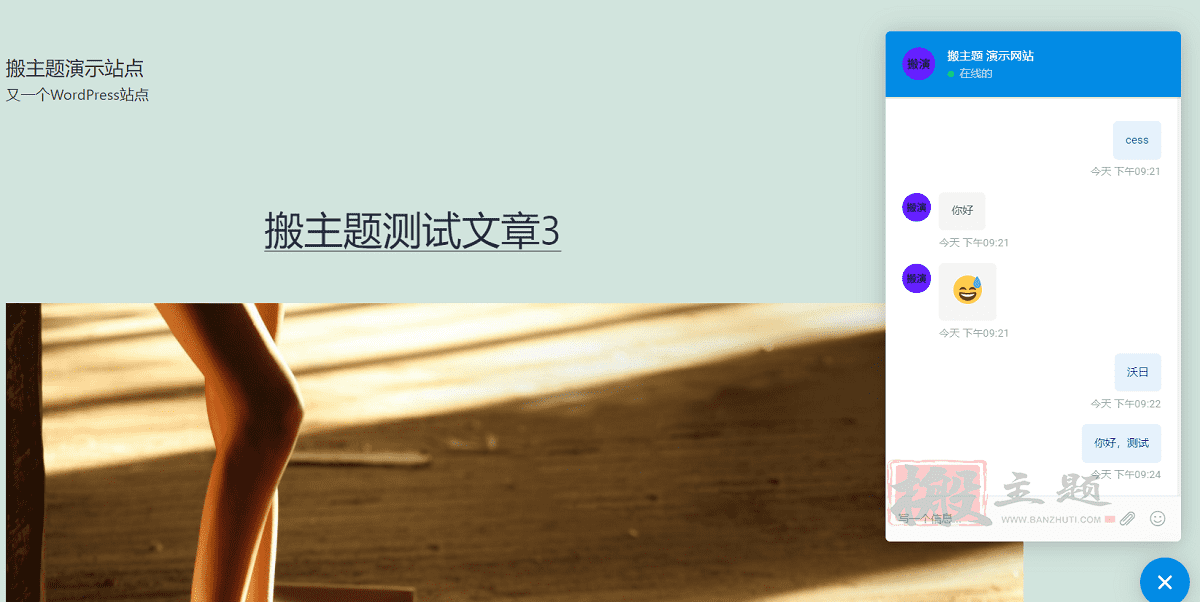图片[21]-Support Board最新汉化中文版（支持微信公众号）下载|智能机器人在线聊天客服源码系统/WordPress插件-搬主题