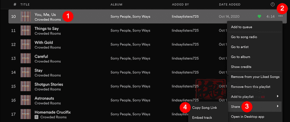 图片[5]-将Spotify嵌入块添加到WordPress文章及页面图文教程-搬主题