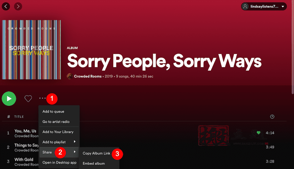 图片[8]-将Spotify嵌入块添加到WordPress文章及页面图文教程-搬主题