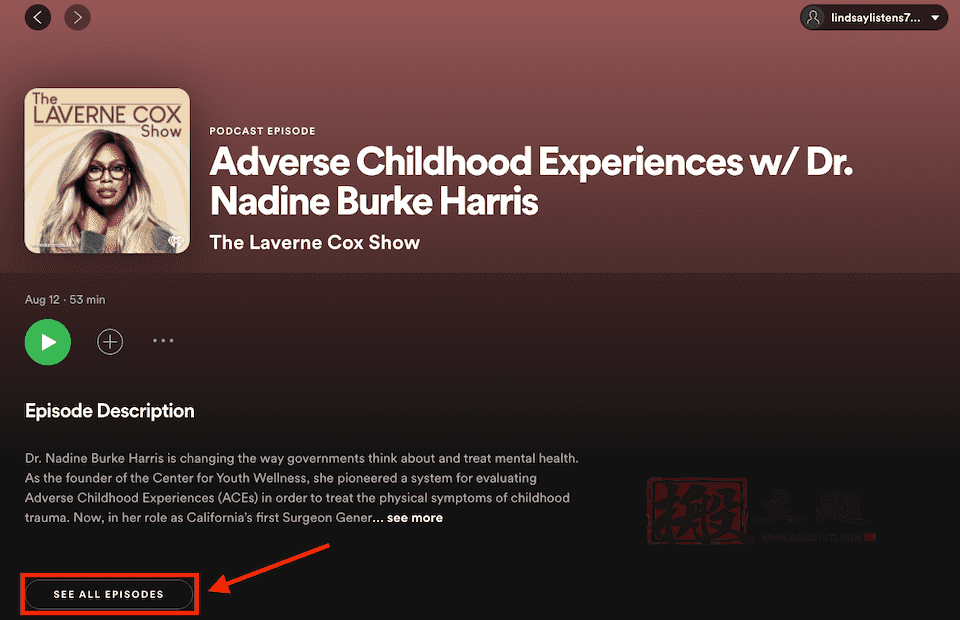 图片[12]-将Spotify嵌入块添加到WordPress文章及页面图文教程-搬主题