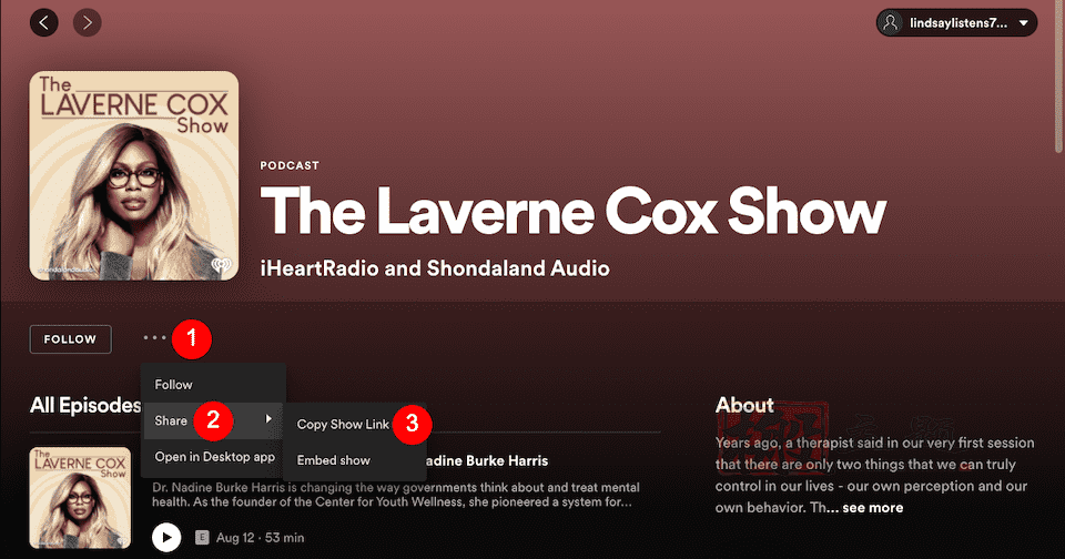 图片[13]-将Spotify嵌入块添加到WordPress文章及页面图文教程-搬主题