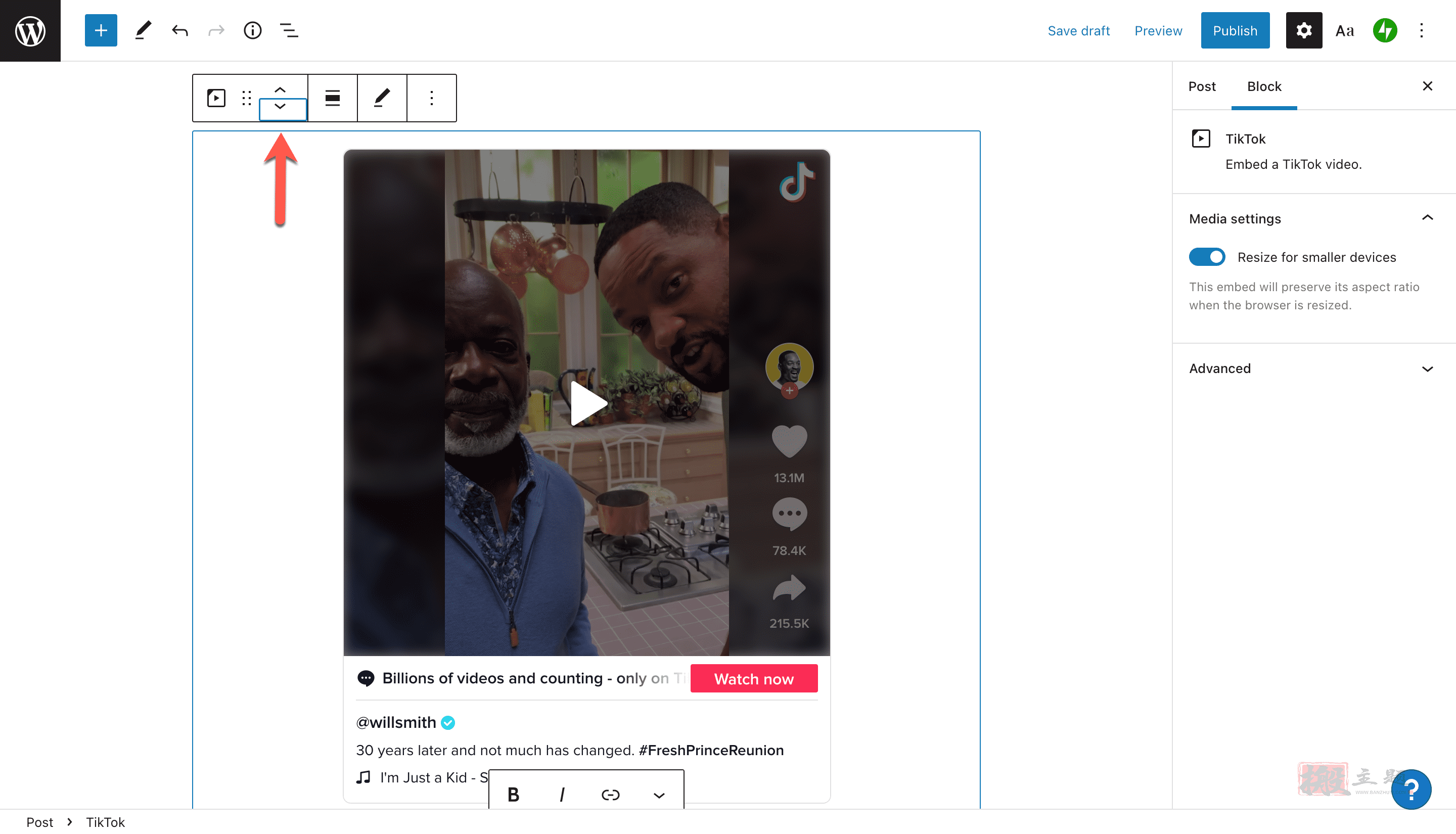 图片[15]-WordPress使用教程之使用WordPress TikTok嵌入区块-搬主题