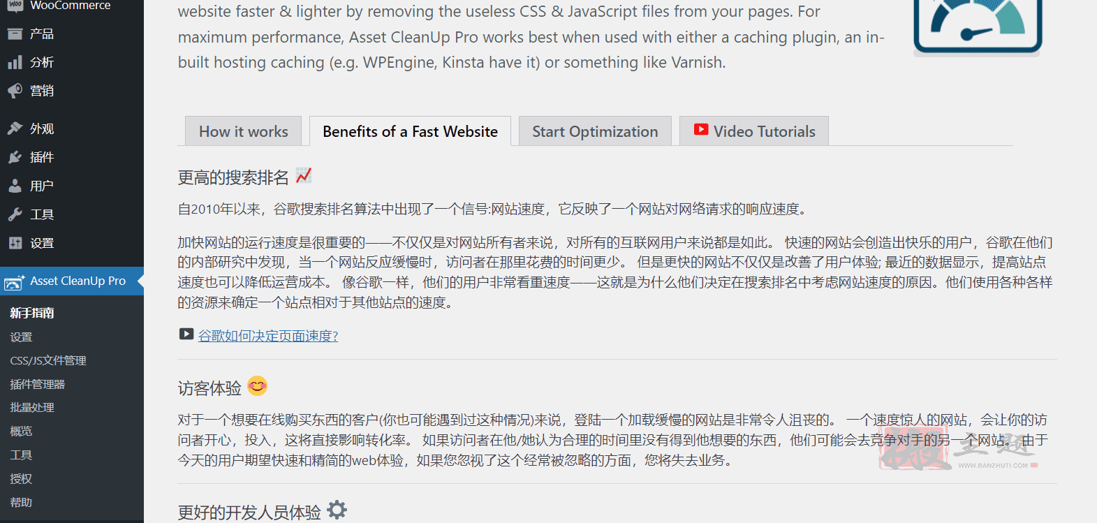 图片[3]-Asset CleanUp Pro汉化中文版|网站CSS+JS压缩页面优化加速WordPress插件介绍-搬主题