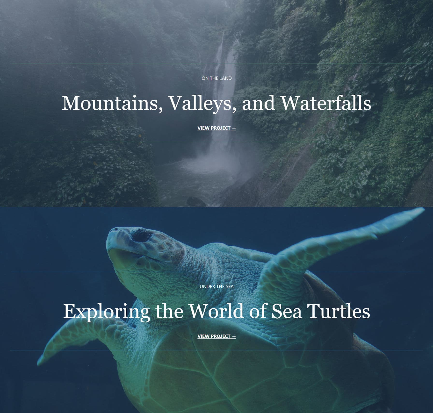 图片[4]-WordPress 6.0功能提前展望 早期的路线图-搬主题