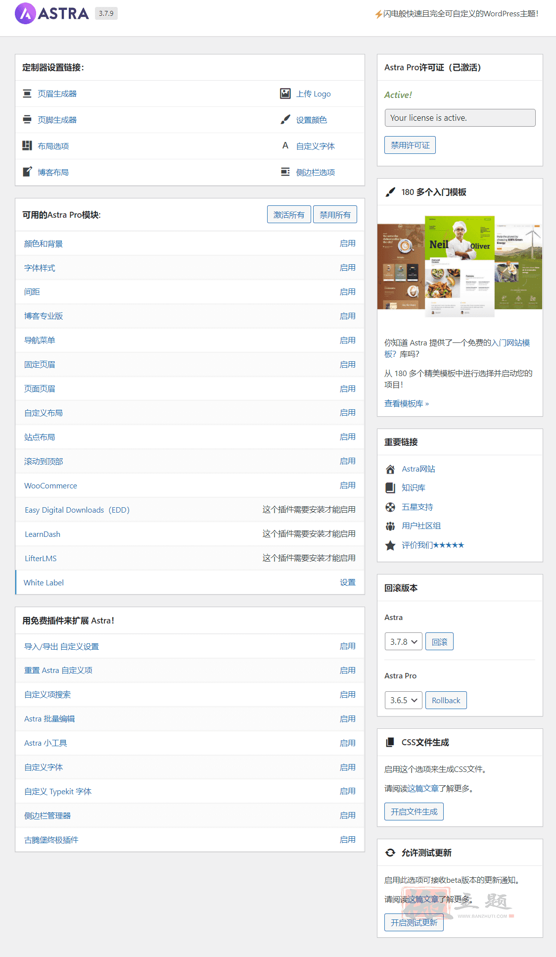 图片[5]-Astra 3.7.9/Astra Pro 3.6.6完美汉化中文版(含高级模板)|页面自定义设计轻量简洁WordPress主题-搬主题
