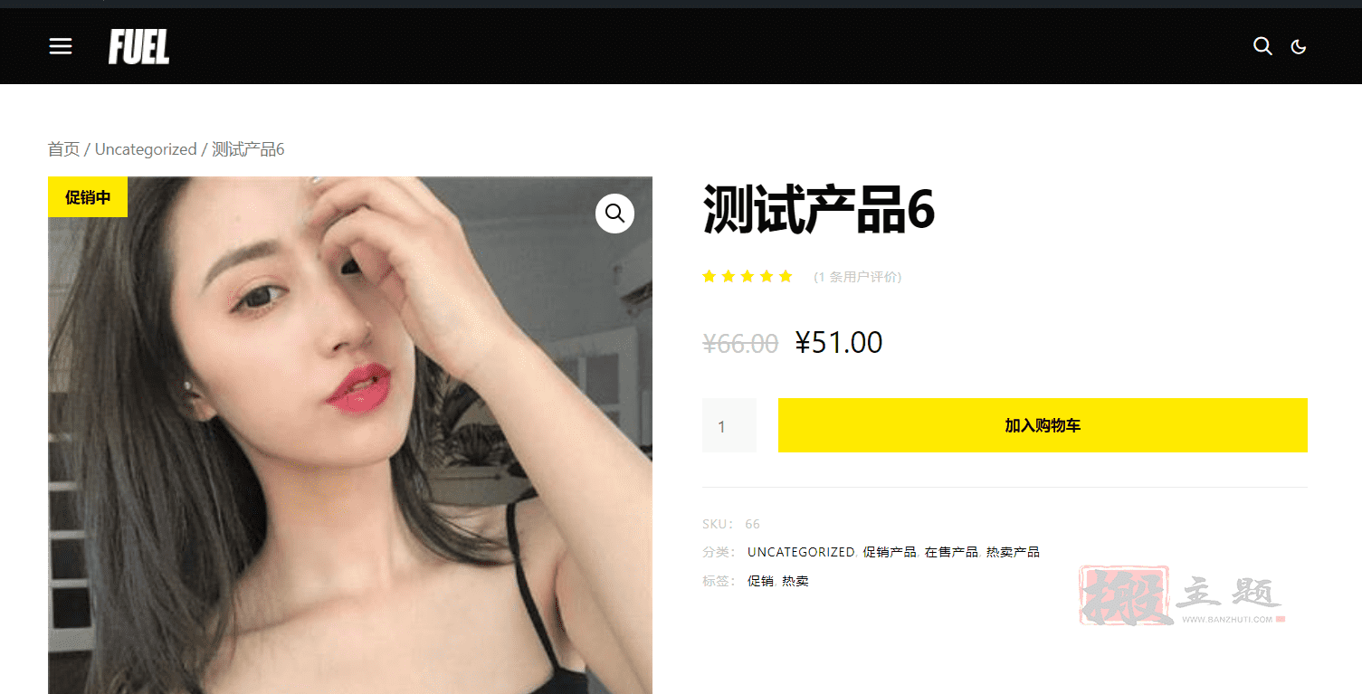 图片[14]-Authentic汉化中文版| 生活方式博客和杂志WordPress主题模板介绍-搬主题