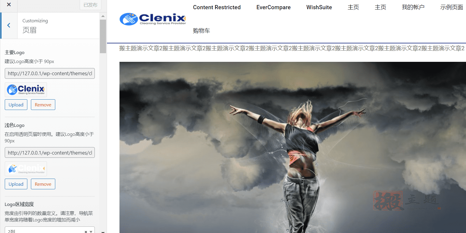 图片[11]-Clenix 2.0.1汉化中文版|家政清洁钟点工服务WordPress企业主题模板-搬主题