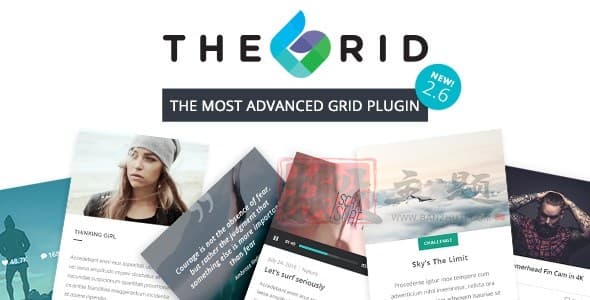 The Grid完美汉化中文版|网格可视化编辑自定义设计高级WordPress插件介绍-搬主题