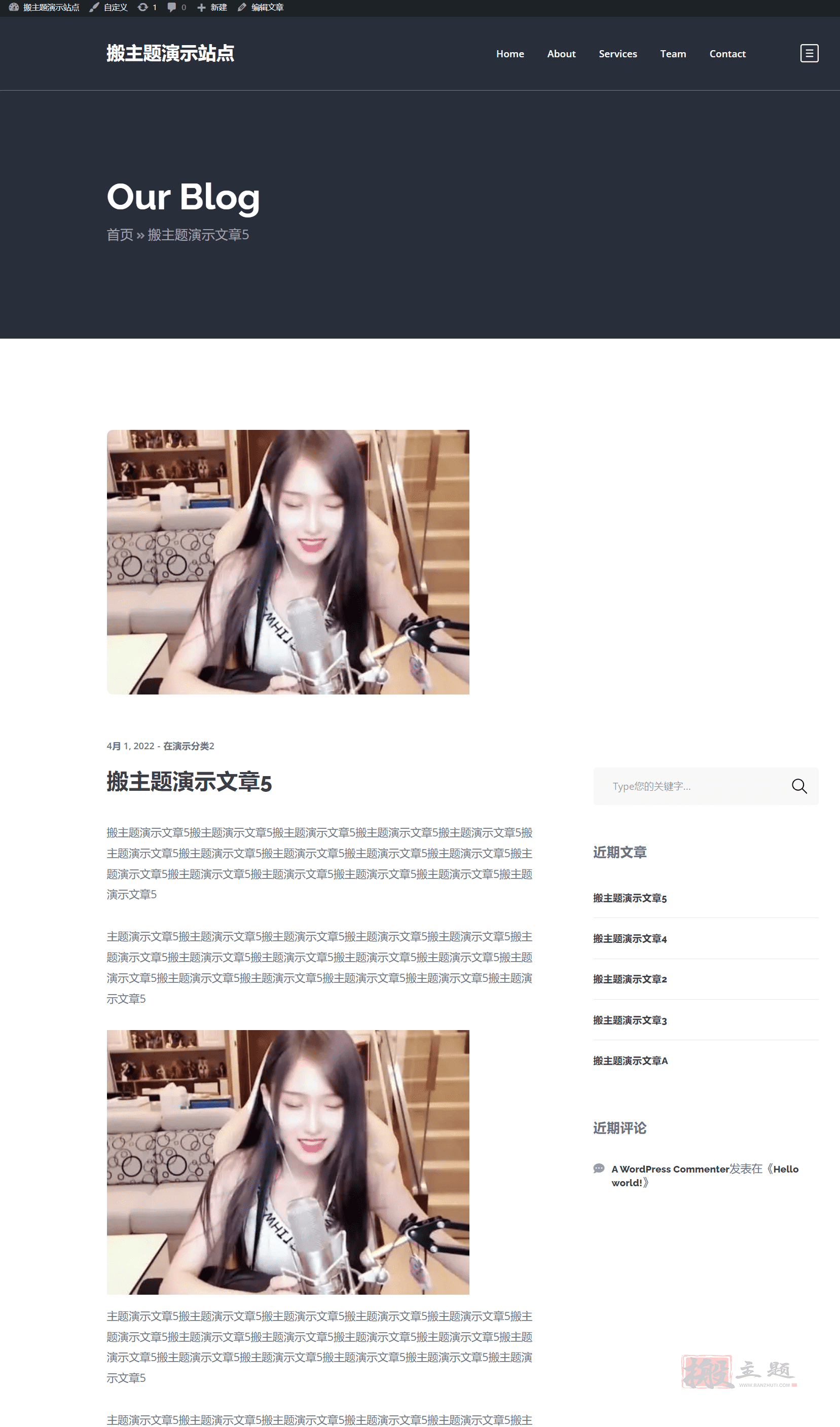 图片[7]-Octavian 1.3汉化中文版|创意展示多用途响应式WordPress主题模板-搬主题