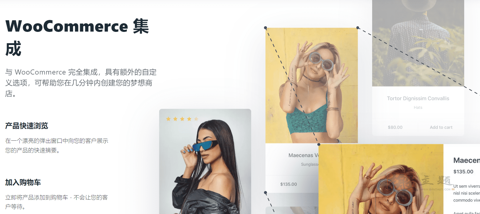 图片[8]-Blocksy Pro完美汉化中文版|区块自定义个性化轻量闪电快速WordPress主题介绍-搬主题