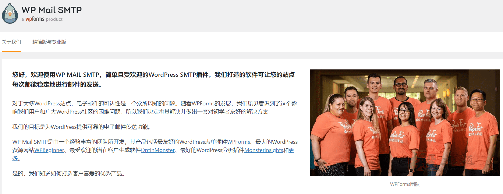 图片[8]-WP Mail SMTP Pro汉化中文版|最流行的邮箱管理设置WordPress邮件发送插件介绍-搬主题
