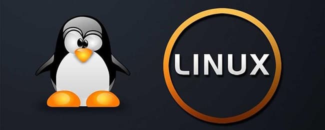 Linus Torvalds推出首个Linux Kernel内核6.1 RC预览版 支持Rust编程语言-搬主题