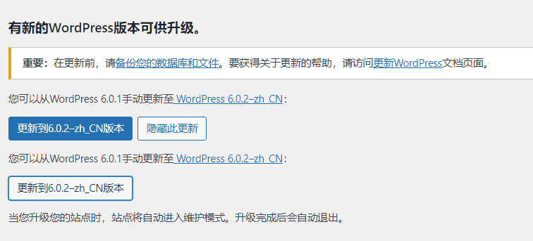 WordPress 6.0.2更新 12个核心错误修复及安全修复-搬主题