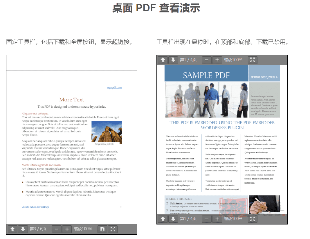 图片[4]-PDF Embedder Premium完美汉化中文版|PDF嵌入文章查看显示WordPress插件介绍-搬主题