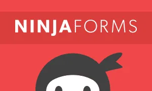 Ninja Forms 3.6.26版本修补多个高危安全漏洞-搬主题
