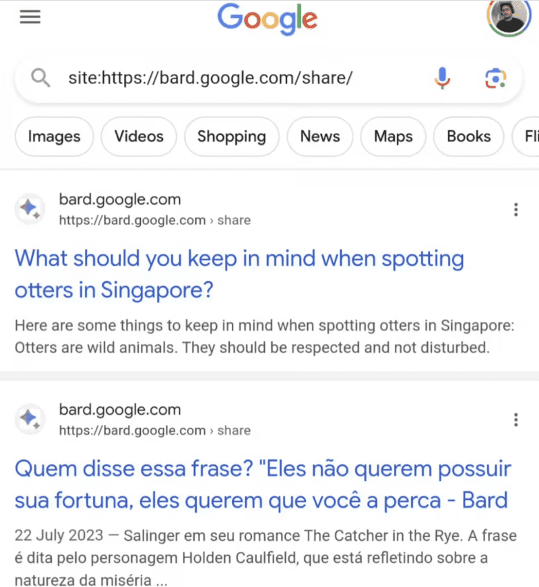 图片[2]-谷歌Bard AI助理存在漏洞 暴露用户隐私提问消息-搬主题