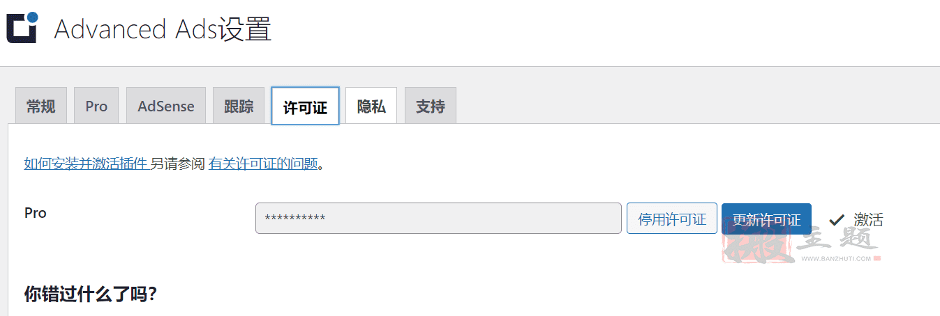 图片[11]-Advanced Ads Pro汉化中文版|广告管理设置WordPress广告插件介绍-搬主题