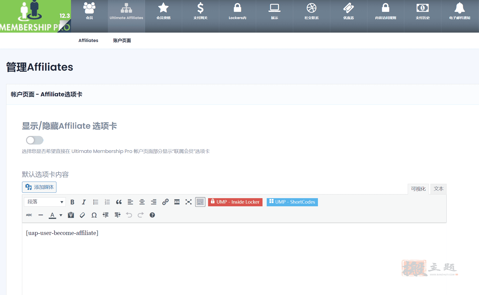 图片[13]-Ultimate Membership Pro完美汉化中文版|会员功能多合一WordPress插件介绍-搬主题