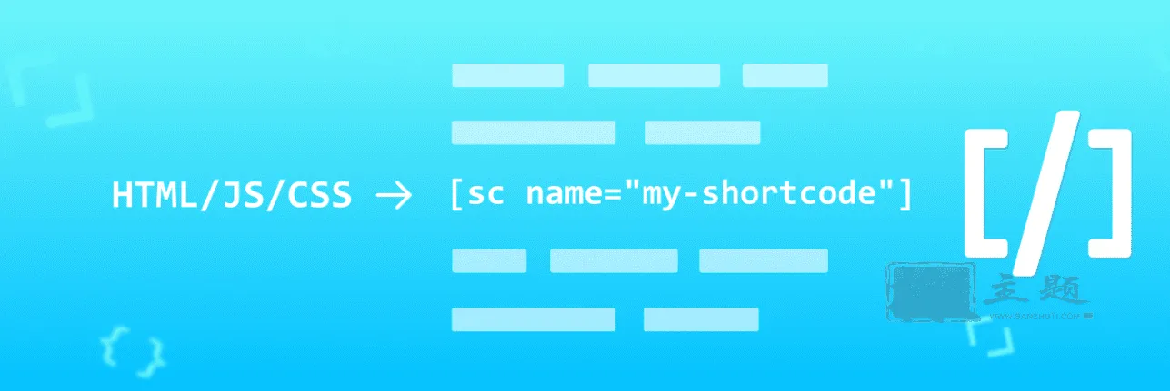 Shortcoder Pro 6.3.2汉化中文版|WordPress简码自定义编辑插件-搬主题