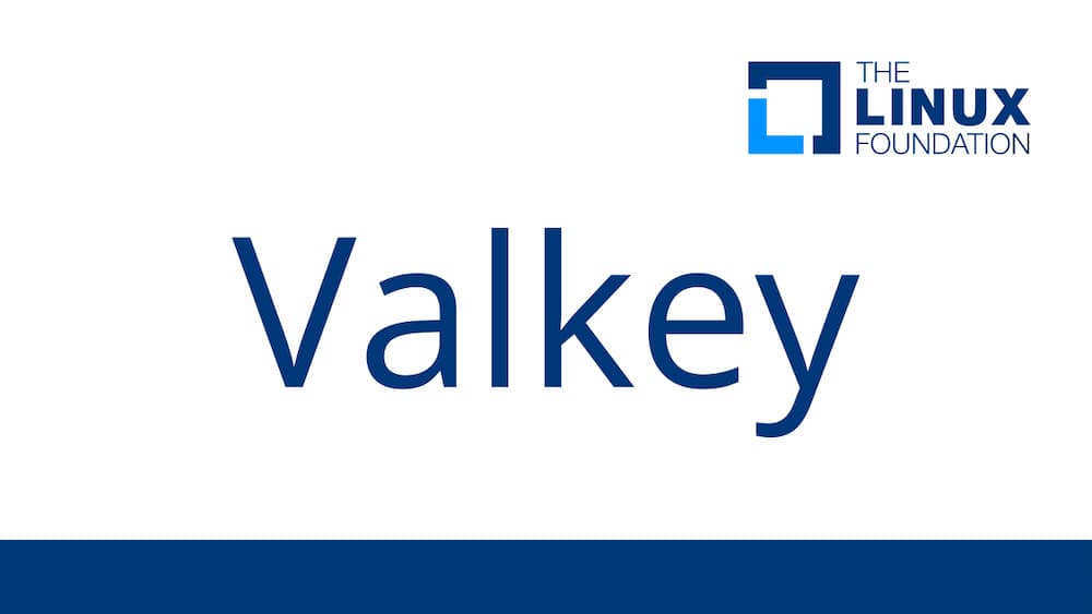 Linux基金会创建Redis分支 Valkey继续开源-搬主题