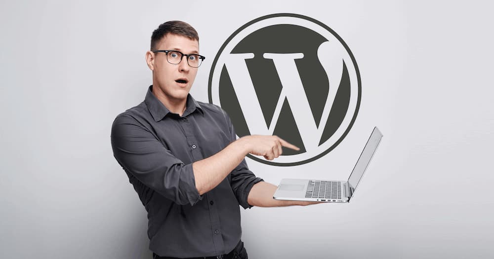 WordPress社区团队将于2024年9月16日前关闭不活跃Meetup群组-搬主题