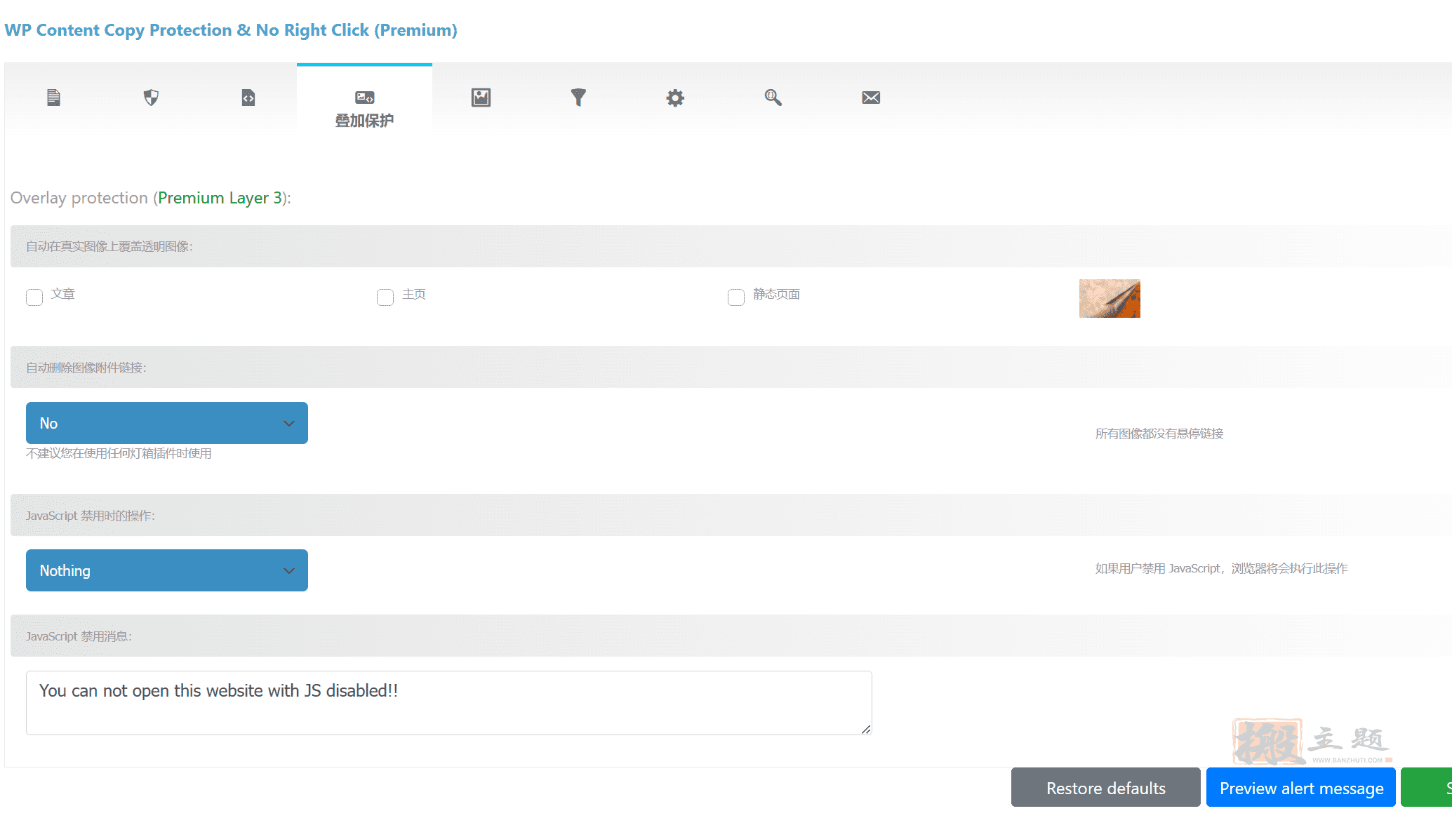 图片[11]-WP Content Copy Protection Pro汉化中文版|内容复制保护和禁止右键单击WordPress插件介绍-搬主题