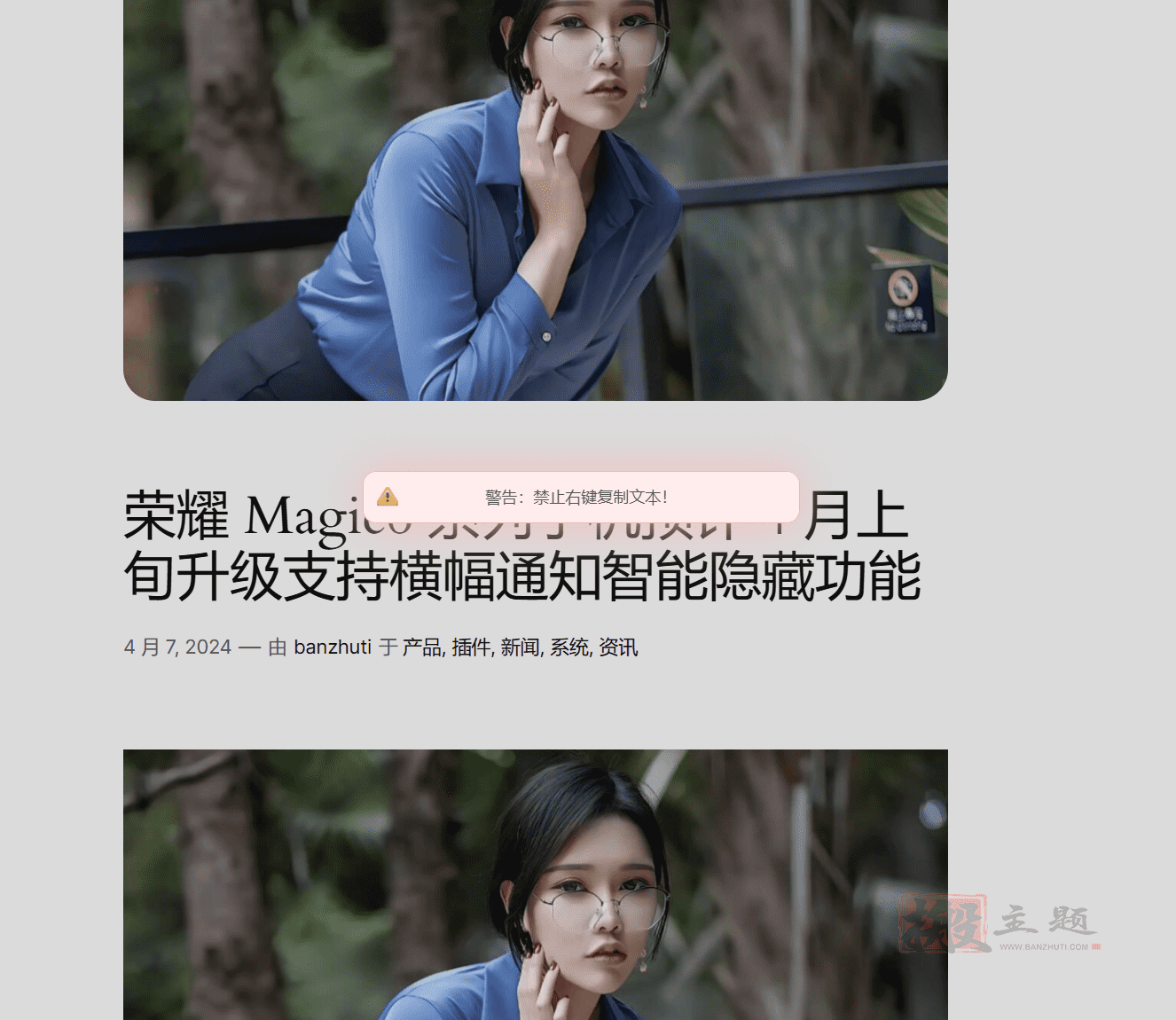 图片[14]-WP Content Copy Protection Pro汉化中文版|内容复制保护和禁止右键单击WordPress插件介绍-搬主题