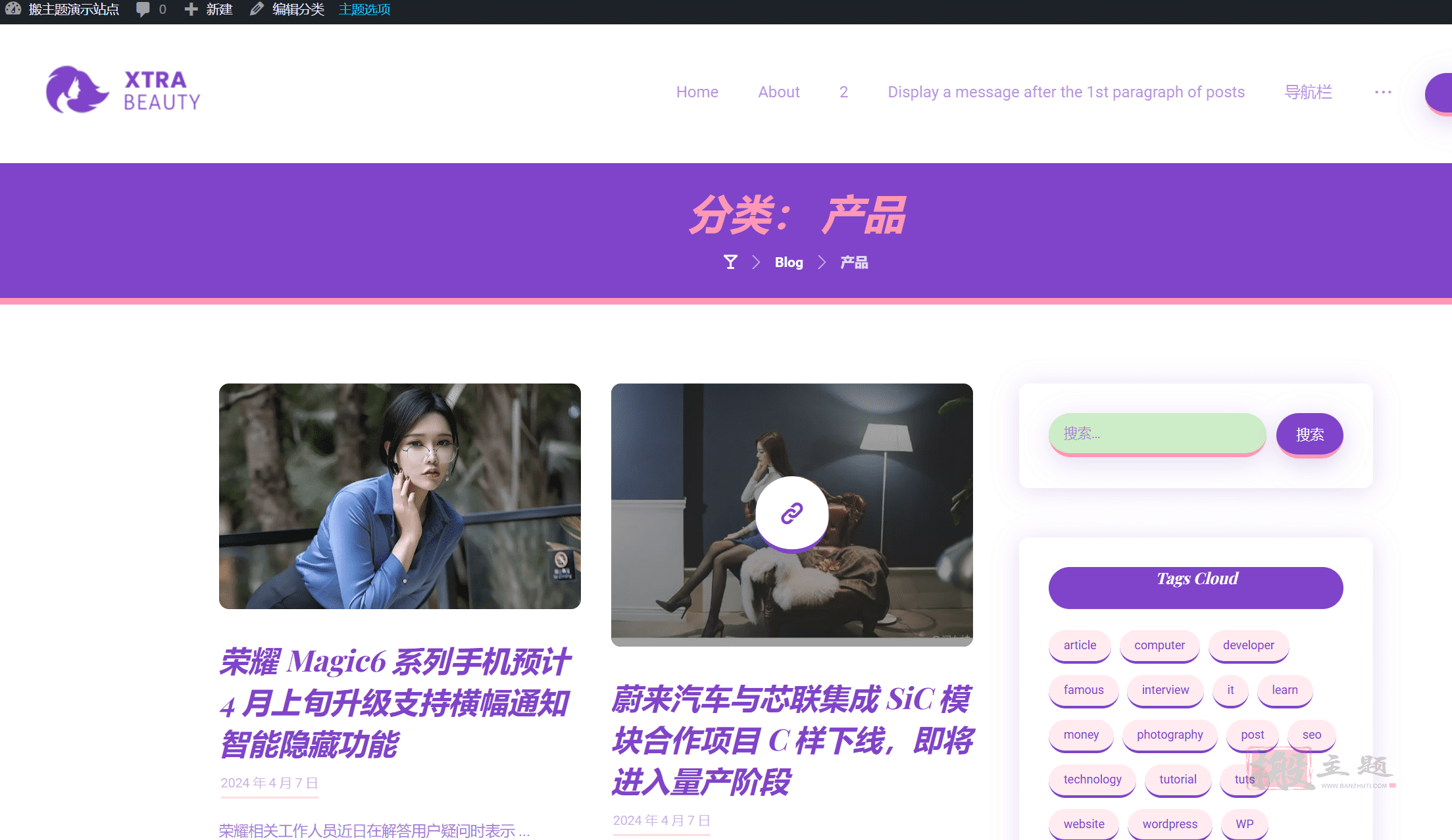 图片[17]-XTRA完美汉化中文版|创意响应式轻量WordPress企业主题模板介绍-搬主题