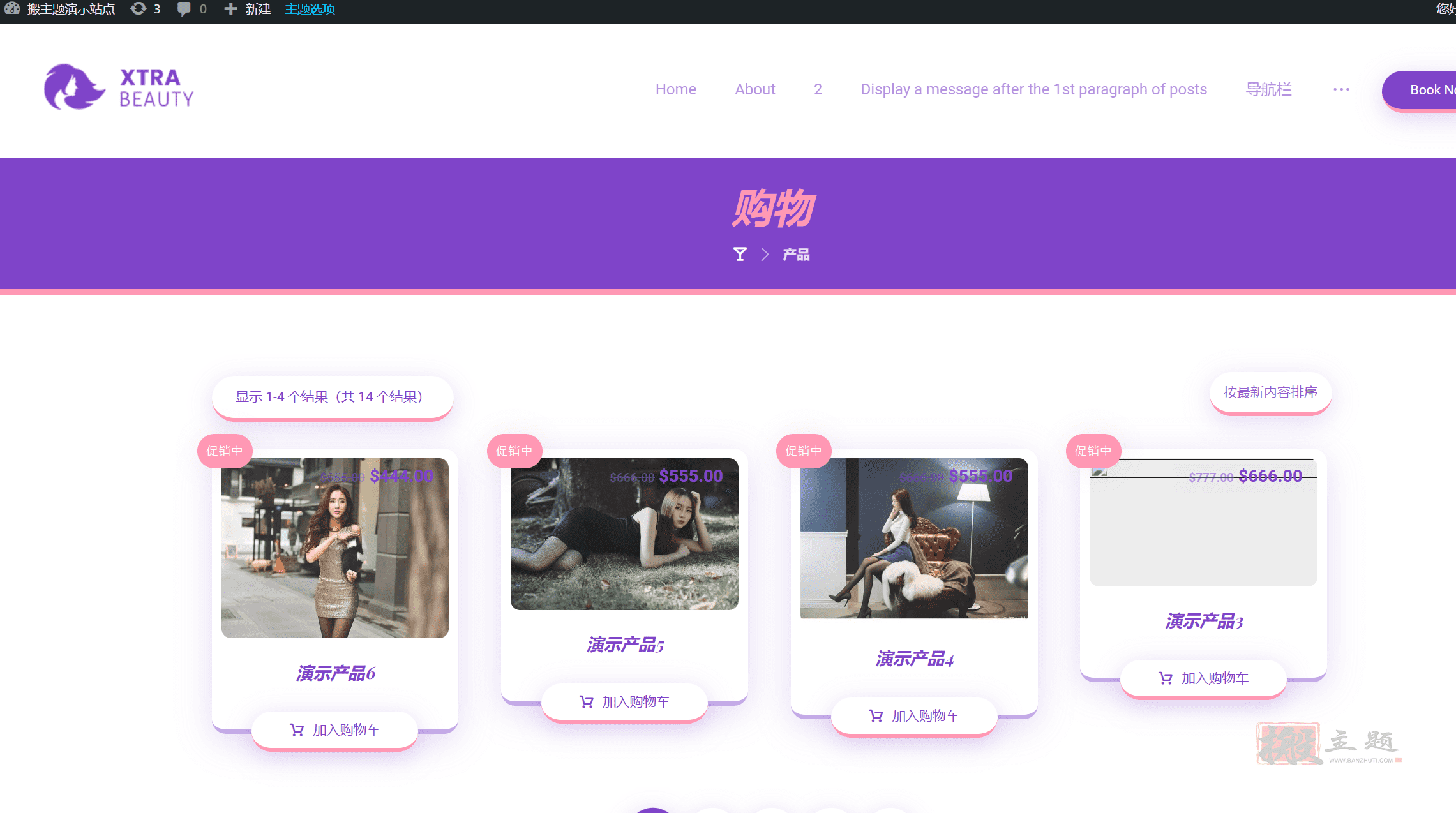 图片[18]-XTRA完美汉化中文版|创意响应式轻量WordPress企业主题模板介绍-搬主题