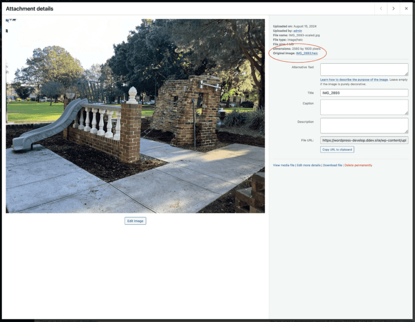 WordPress 6.7新增自动将HEIC图像转换为JPEG功能-搬主题