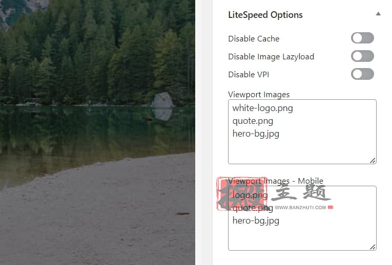 图片[31]-WordPress最强优化插件LiteSpeed Cache缓存插件设置最新图文教程-搬主题