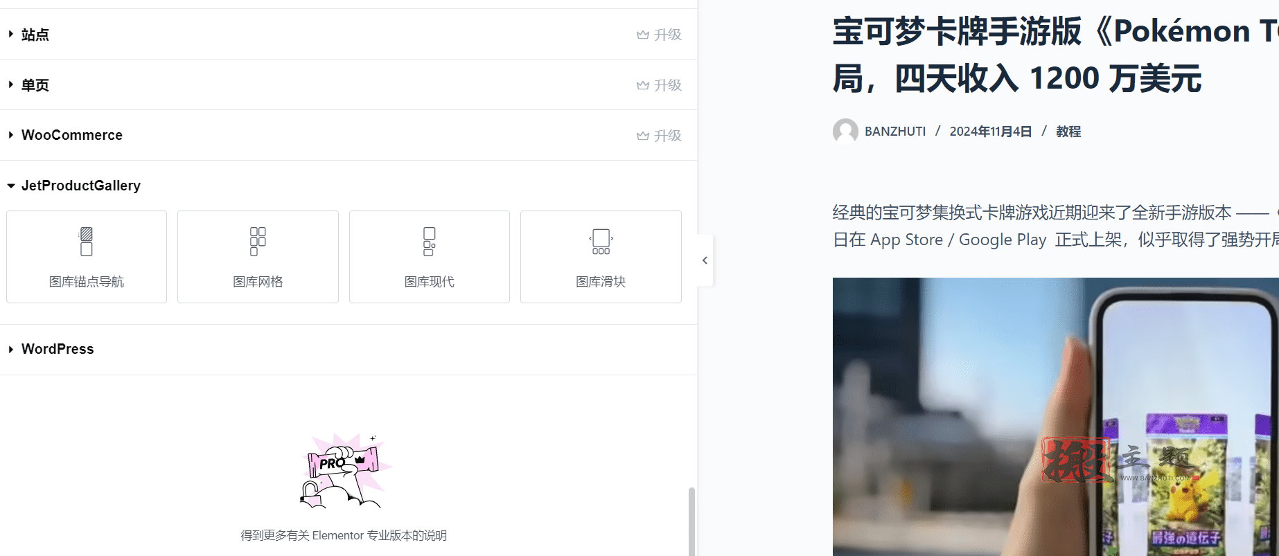 图片[8]-JetProductGallery汉化中文版|Elementor及WooCommerce产品图片视频库插件介绍-搬主题