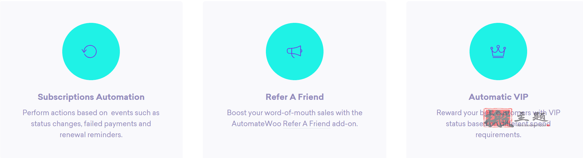 图片[3]-AutomateWoo汉化中文版|WooCommerce营销自动化插件介绍-搬主题