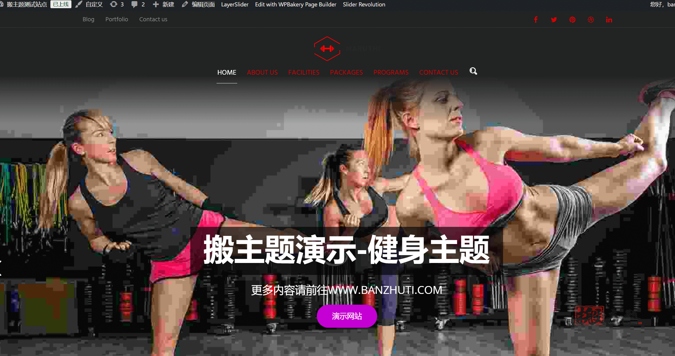 图片[2]-Maruthi 3.0汉化中文版|健身房健身中心康复锻炼WordPress主题下载-搬主题