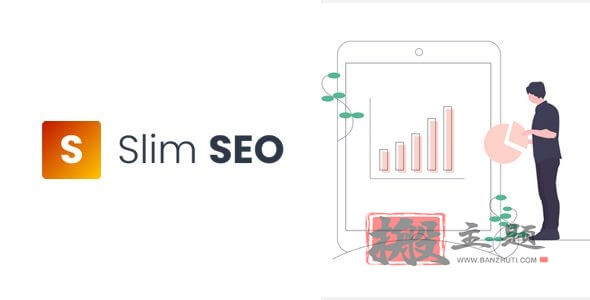 Slim SEO Pro 1.10.1合集汉化中文版|快速自动化WordPress SEO插件下载-搬主题