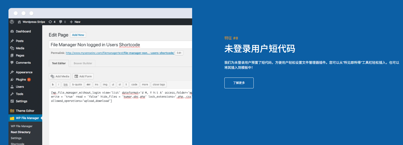 图片[3]-WP File Manager Pro完美汉化中文版|WordPress文件管理器插件介绍-搬主题