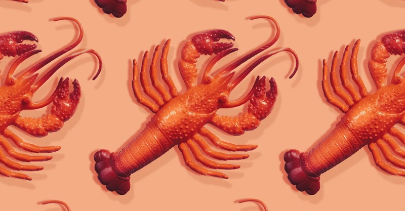 关于爆款个人AI助手Clawdbot的前世今生-搬主题